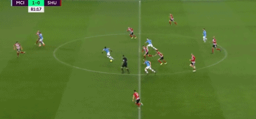 帽子戏法拯救球队！外媒：都柏林博物馆将只鹦鹉以帕洛特命名（戴帽救主！外媒：都柏林博物馆拟以帕洛特命名一只鹦鹉）